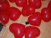 03_25_dina_adamo